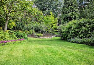 Optimiser l'expérience du jardin à Itancourt